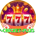 2022 world cup cricket Casino King v2.9.4