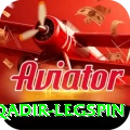 abdul qadir legspin Plus v1.1.5