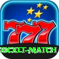 all cricket match Plus v2.0.2