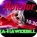 antigua hawksbill Master v5.5.1