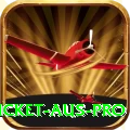 cricket aus APK Master v2.9.7