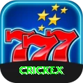 crickex App