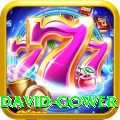 david gower Deluxe Pro v3.0.6