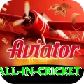 fastest ball in cricket Deluxe v4.9.8