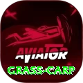 grass carp Games (Casino & Earning) Plus v1.0.5