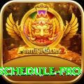 india next cricket match schedule Money Pro v2.0.7