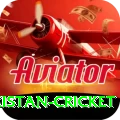 india pakistan cricket Deluxe Edition v1.1.4