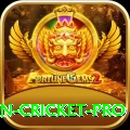 india pakistan cricket Earn Premium v1.2.8