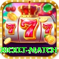 international cricket match Max v5.7.6
