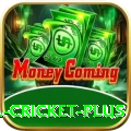 most runs in international cricket Slot Machine Prime