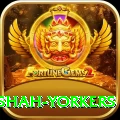 naseem shah yorkers Gold Edition v1.7.4