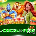 one cricket Bonus Legend v3.0.6