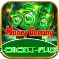 online cricket - Gold Edition v1.8.0