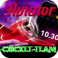 pakistan women cricket team Ultimate Pro v1.2.7