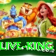 Q5Bet - Live King