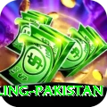 responsible gambling pakistan Pro Edition v1.4.0