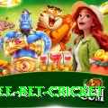 risk free bet cricket VIP Edition v5.5.4