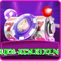 rudi koertzen Elite Pro v3.3.2