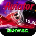 sehwag Apps (Tools & Injectors) Ultimate v5.1.4