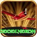 simbhanjyang rhododendron Games (Casino & Earning) Plus v3.0.6