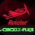 smartcric live cricket Slots Gold v2.1.4