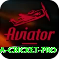 sri lanka cricket - Deluxe Edition v3.2.6