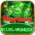 steve waugh Gold Edition v2.7.9