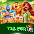 t20 VIP v5.4.3
