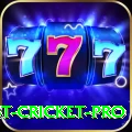test cricket Turbo Slots