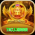 tiger888 Gold Edition v2.7.0