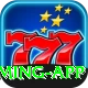 v44 VIP Gaming App