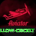willow cricket Plus v2.5.6