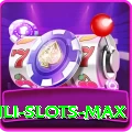 Winli Slots Gaming Premium v5.0.5